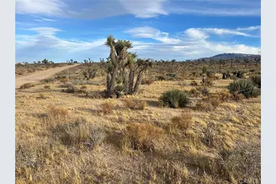 23926 Poppy Road, Apple Valley, CA 92308 - Photo 1