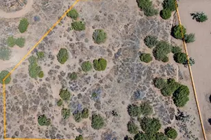 10624 Cedar St, Oak Hills, CA 92344 - Photo 1