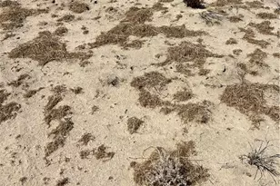 21060 US Hwy 395, Adelanto, CA 92301 - Photo 1