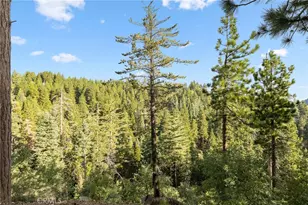 31721 Wagon Wheel Dr, Running Springs, CA 92382 - Photo 1