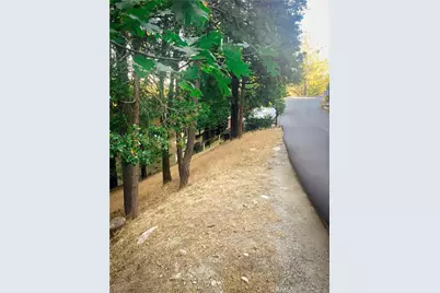 1274 Evergreen Lane, Lake Arrowhead, CA 92352 - Photo 1