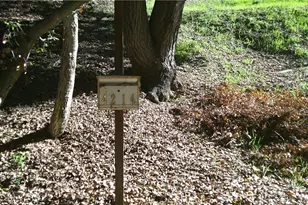 4214 Elzevir Rd, Woodland Hills, CA 91364 - Photo 1