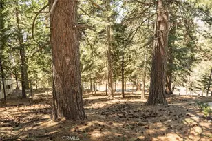30908 Glen Oak, Running Springs, CA 92382 - Photo 1