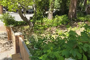 29053 Hook Creek Rd, Cedar Glen, CA 92321 - Photo 1