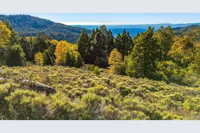 39 .75 Acres State Park Road, Palomar Mountain, CA 92060 - Photo 1