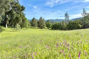 75370 Turkey Ln, Bradley, CA 93426 - Photo 1