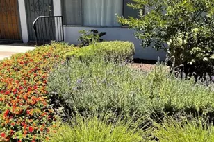 735 Cedar Ave, Long Beach, CA 90813 - Photo 1