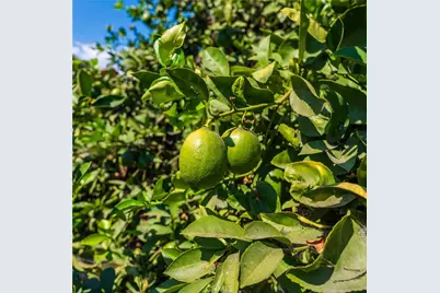 4245 Lugo Avenue, Lynwood, CA 90262 - Photo 1