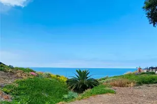 35295 Camino Capistrano, Dana Point, CA 92624 - Photo 1