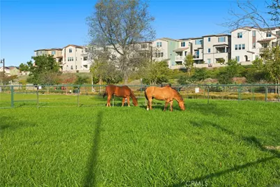 361 Gelding Way, Rancho Mission Viejo, CA 92694 - Photo 1