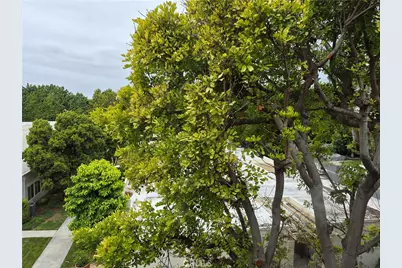 2370 W Via Mariposa #3D, Laguna Woods, CA 92637 - Photo 1