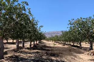 10080 Santa Fe Fire Rd, Lucerne Valley, CA 92356 - Photo 1