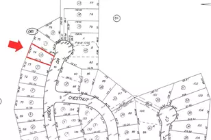 1316 Linden Dr, Pine Mountain Club, CA 93222 - Photo 1