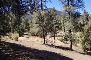 1912 Ironwood Dr, Pine Mountain Club, CA 93222 - Photo 1