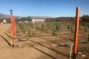 57820 Valley Vista Ln, Anza, CA 92539 - Photo 1