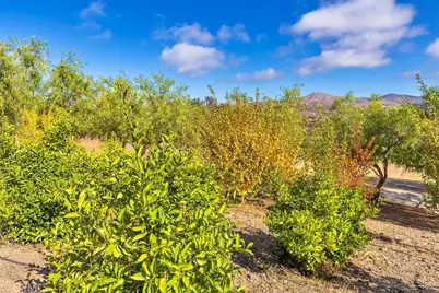 34265 Judith, Winchester, CA 92596 - Photo 44