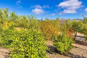 34265 Judith, Winchester, CA 92596 - Photo 44