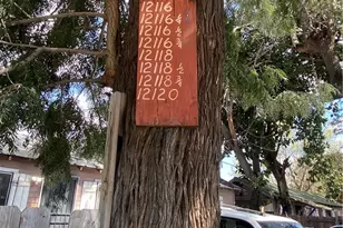 12116 S Willowbrook, Compton, CA 90222 - Photo 1