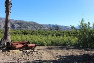 1100 Cliff Ave, Fillmore, CA 93015 - Photo 1