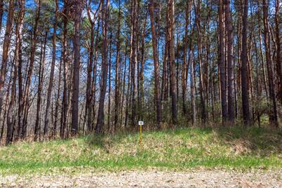 8196 Pine Tree Trail #131 - Photo 1