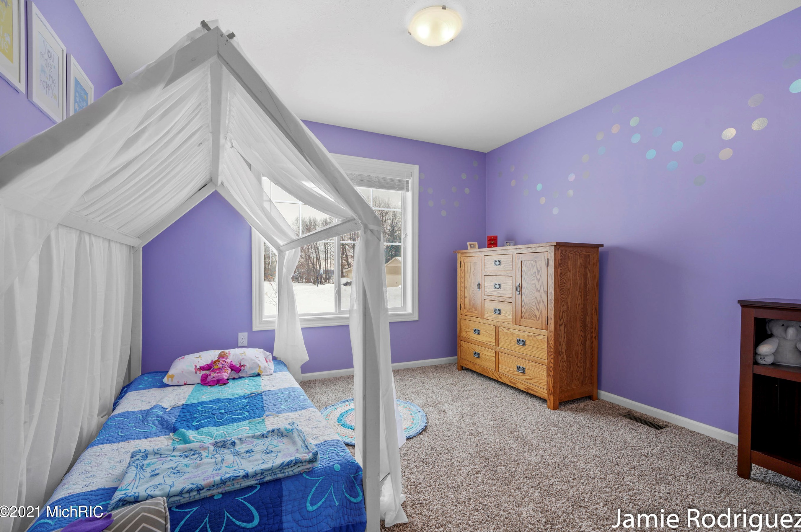 11734 Echo Ridge Dr, Sparta MI 49345-8121 exterior