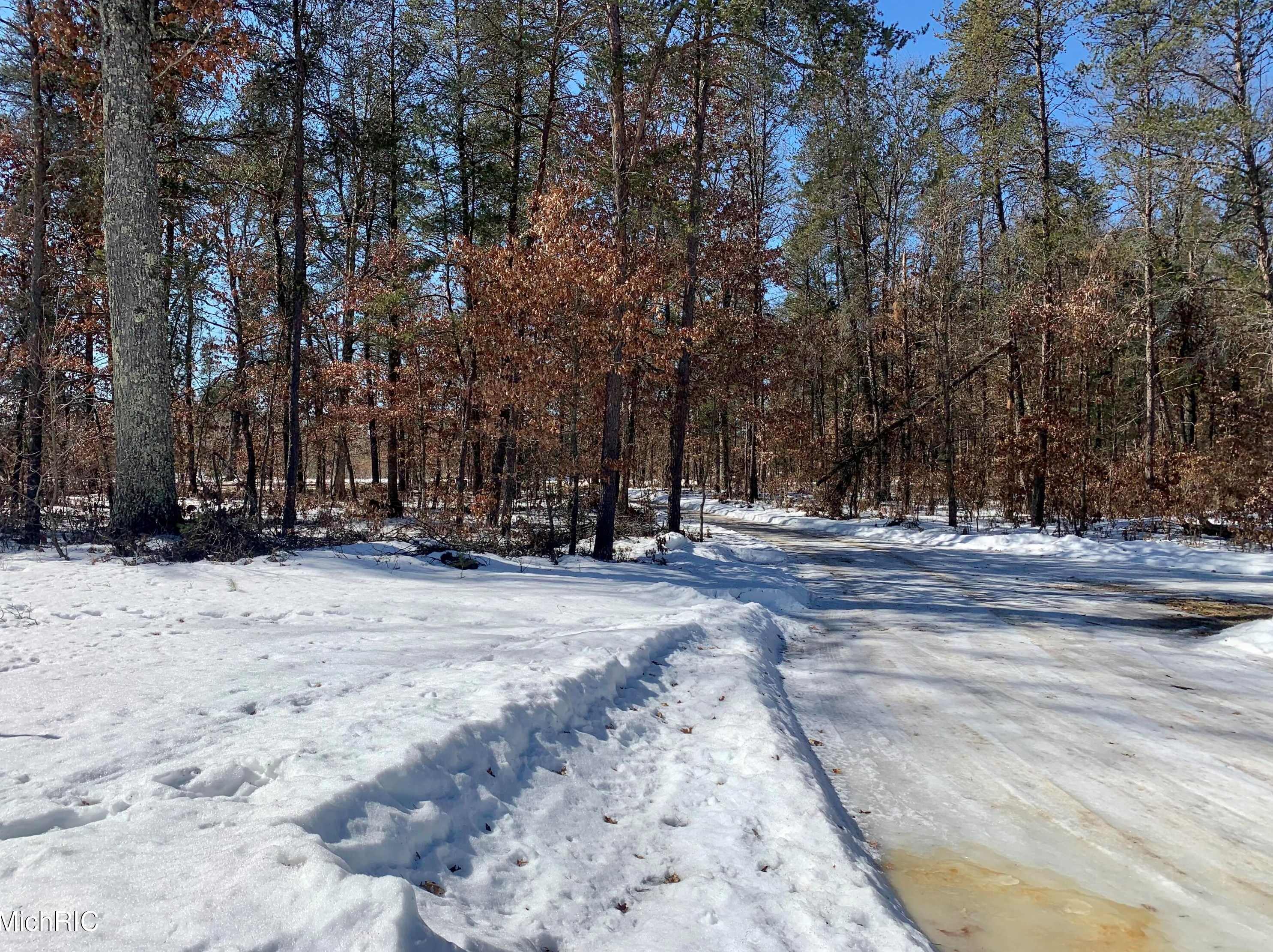 794 36th St, Baldwin MI 49304-7148 exterior