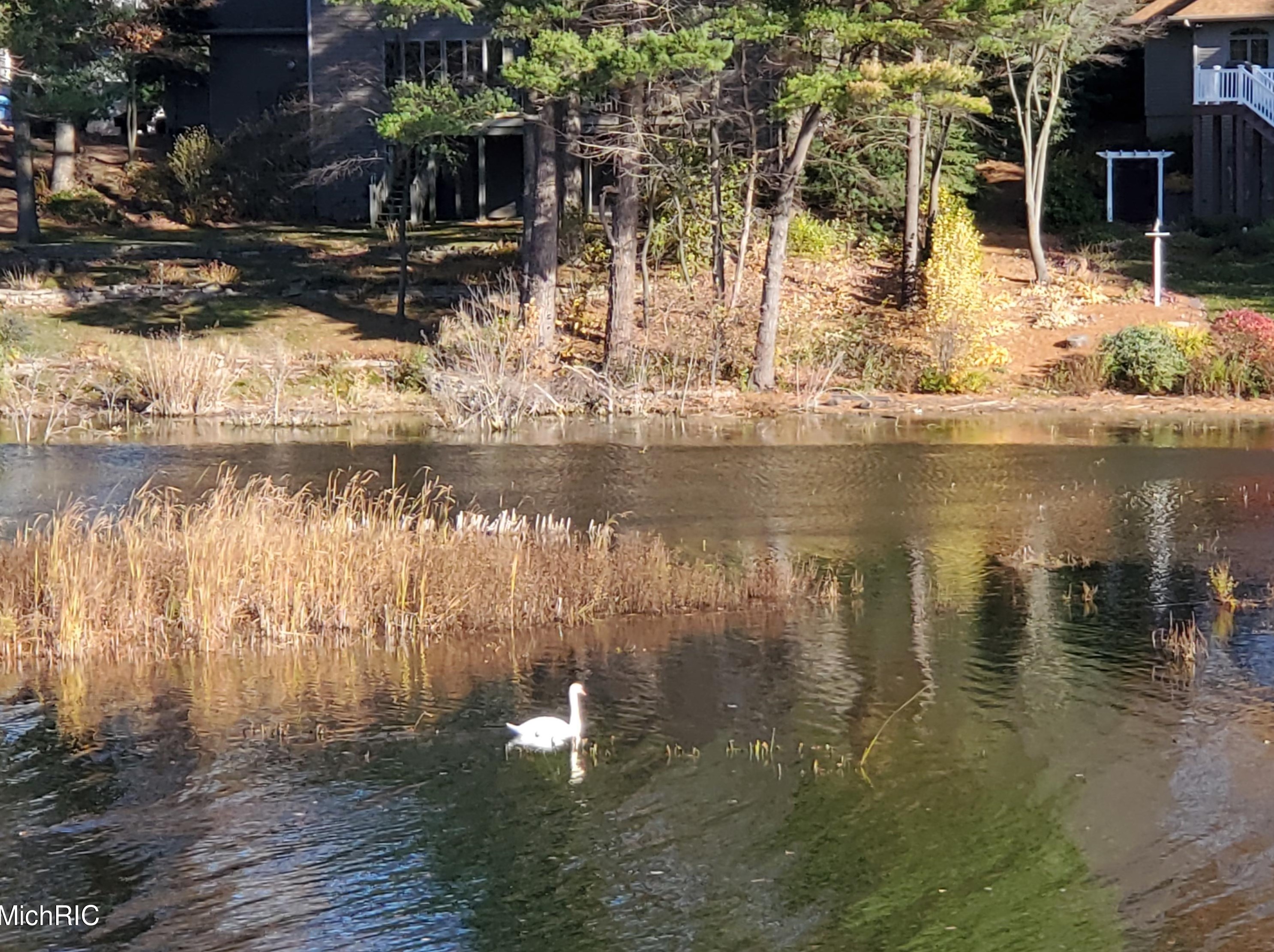 15489 Oak Dr, Spring Lake MI 49456-2147 exterior