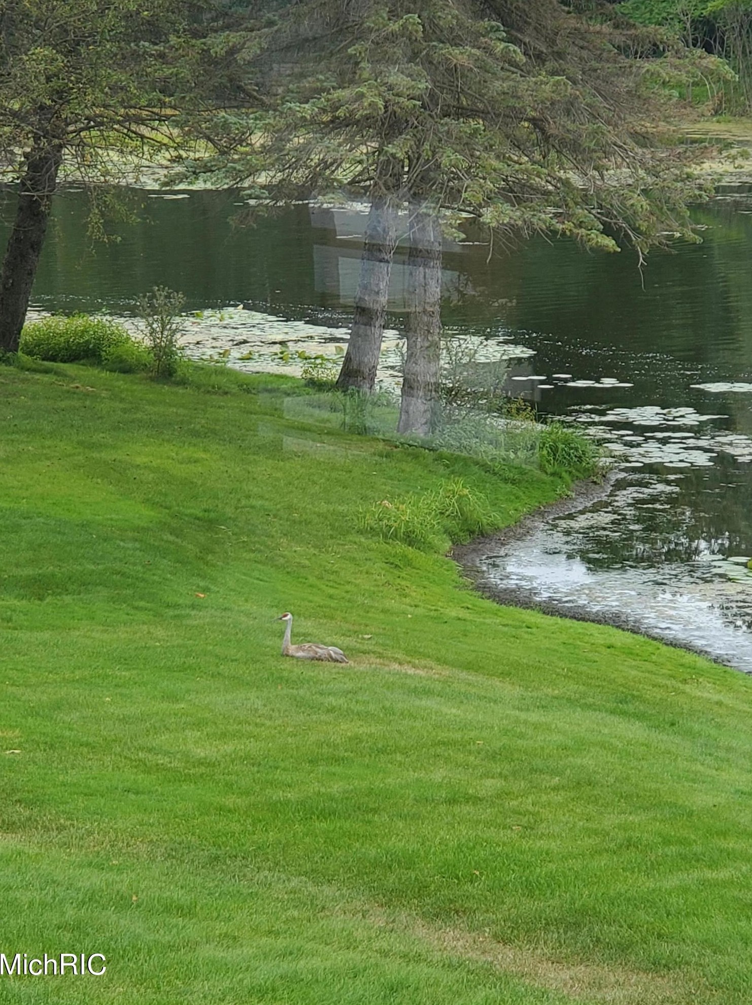 15489 Oak Dr, Spring Lake MI 49456-2147 exterior