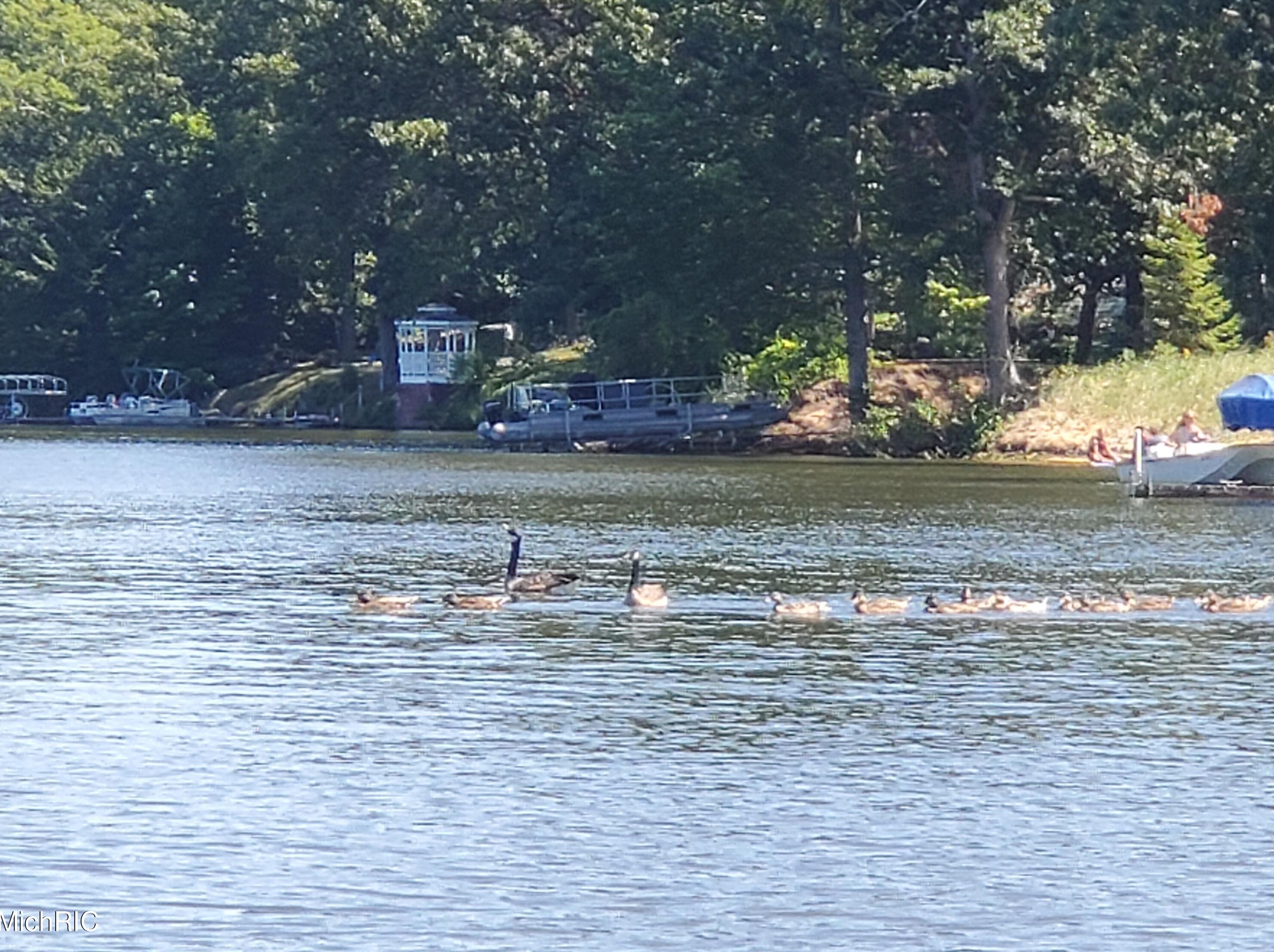 15489 Oak Dr, Spring Lake MI 49456-2147 exterior