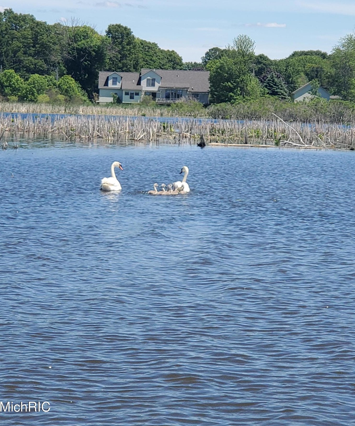 15489 Oak Dr, Spring Lake MI 49456-2147 exterior