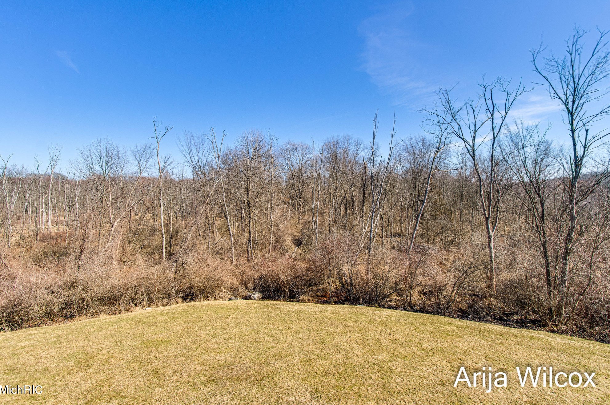 1289 Dogwood Mdw Dr, Ada MI 49301-9436 exterior