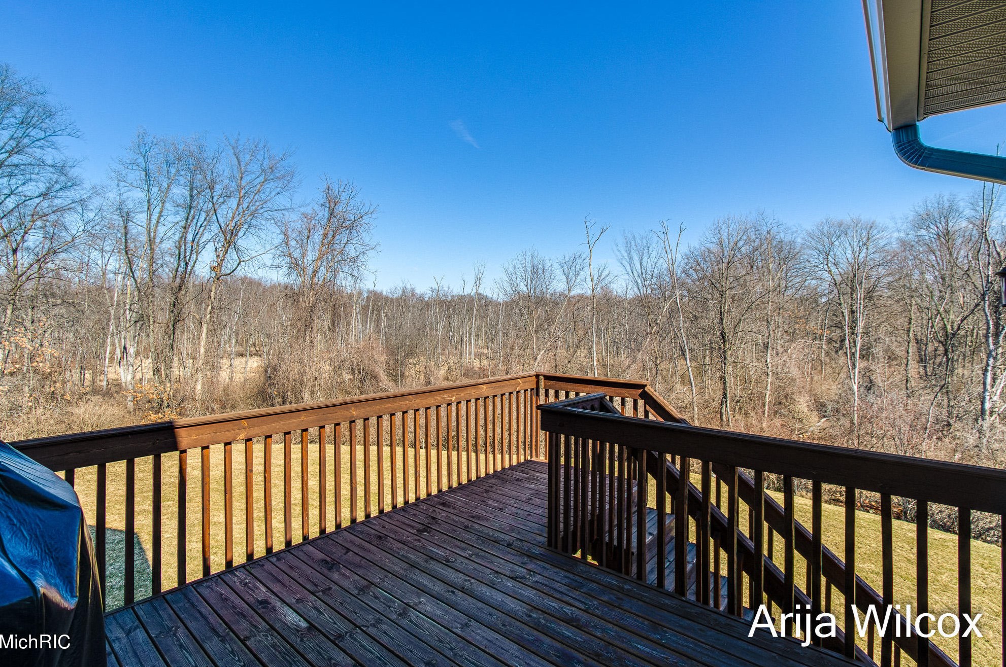 1289 Dogwood Mdw Dr, Ada MI 49301-9436 exterior