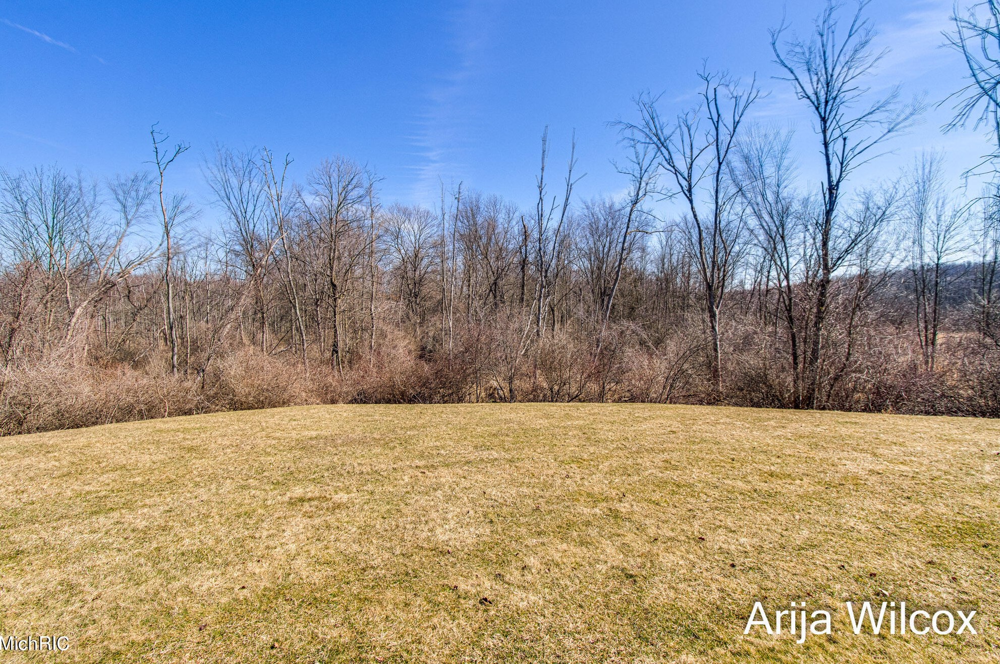 1289 Dogwood Mdw Dr, Ada MI 49301-9436 exterior