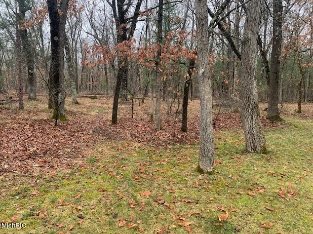 4097 52nd St, Baldwin MI 49304-7944 exterior