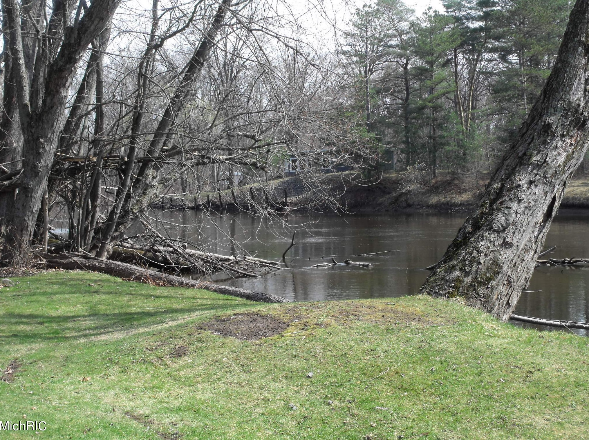 3339 Timberlane Dr, Evart, MI 49631