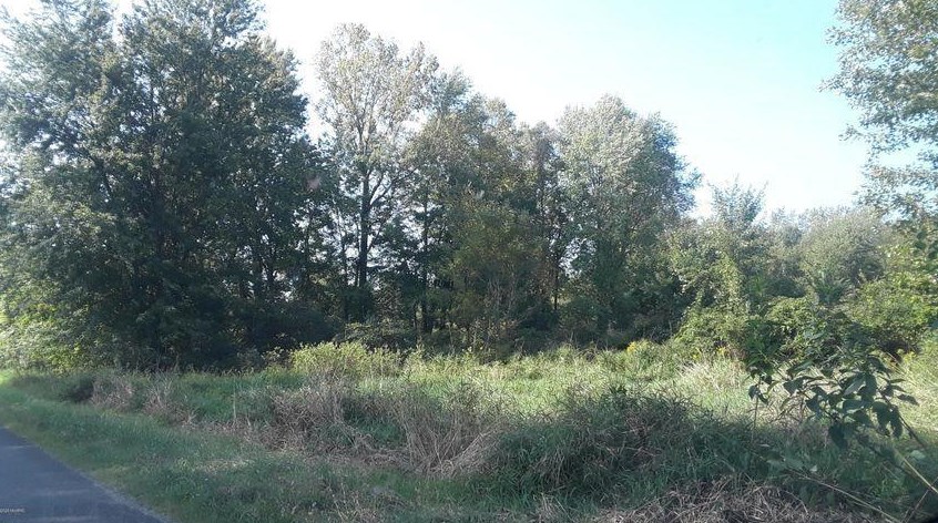 3594 36th St, Gobles, MI