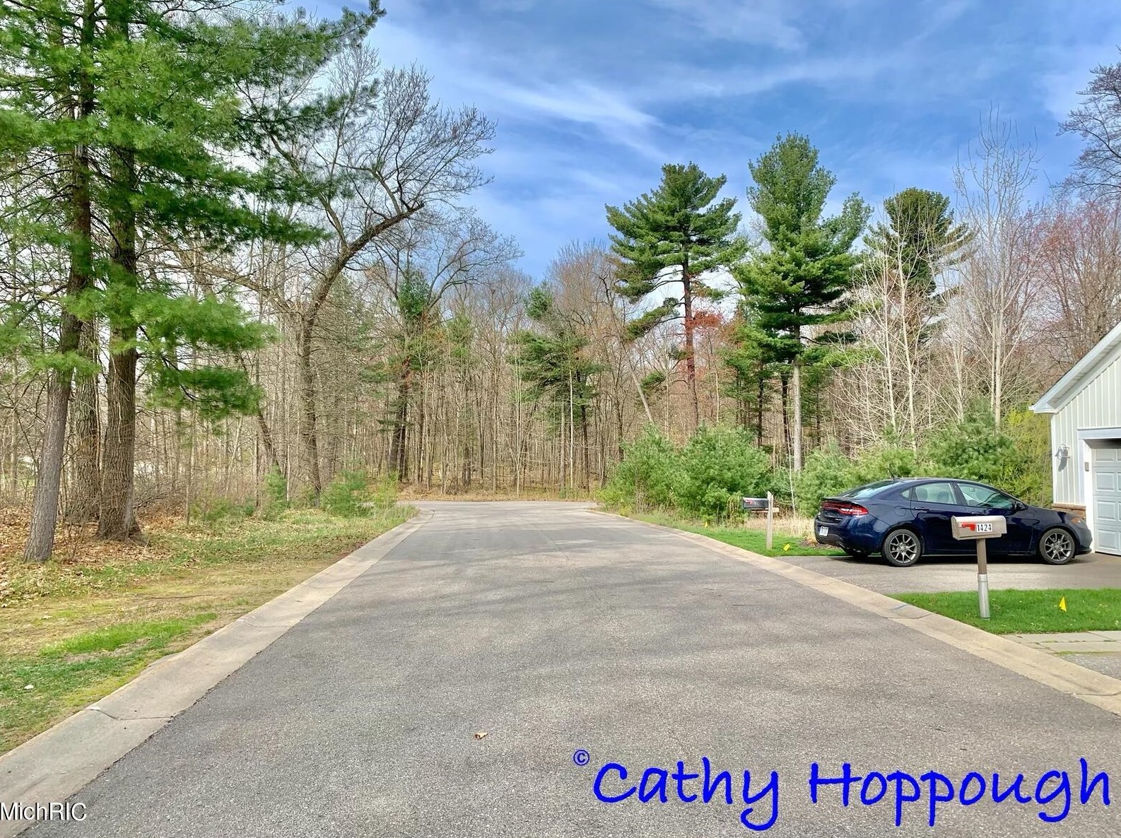 1422 Viewpoint Dr, Greenville, MI 48838-8261