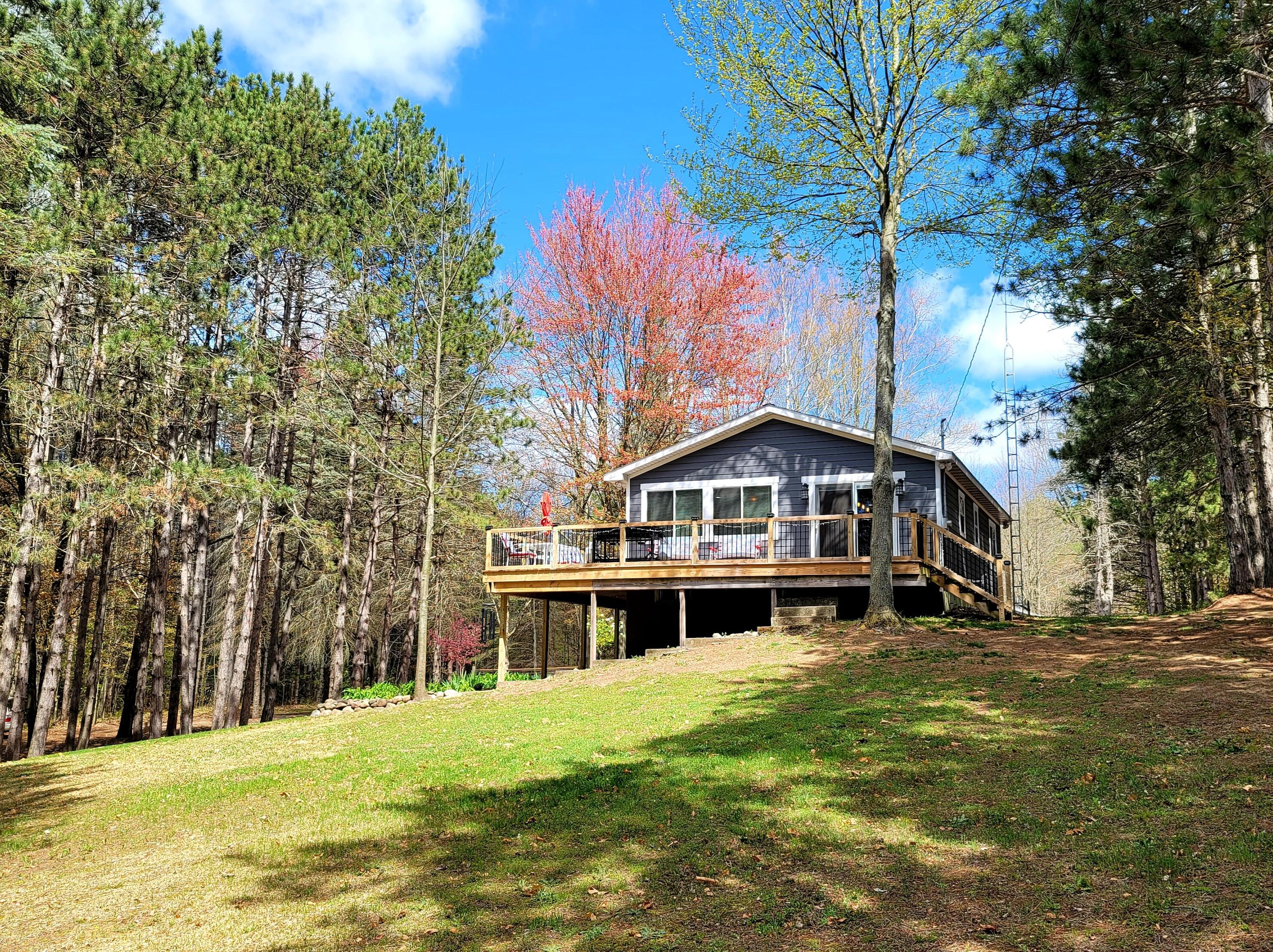 19836 W Kimball Rd, Pierson, MI 49339