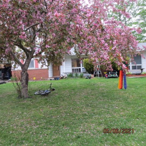 7839 Pear, Coloma, MI 49038-9634