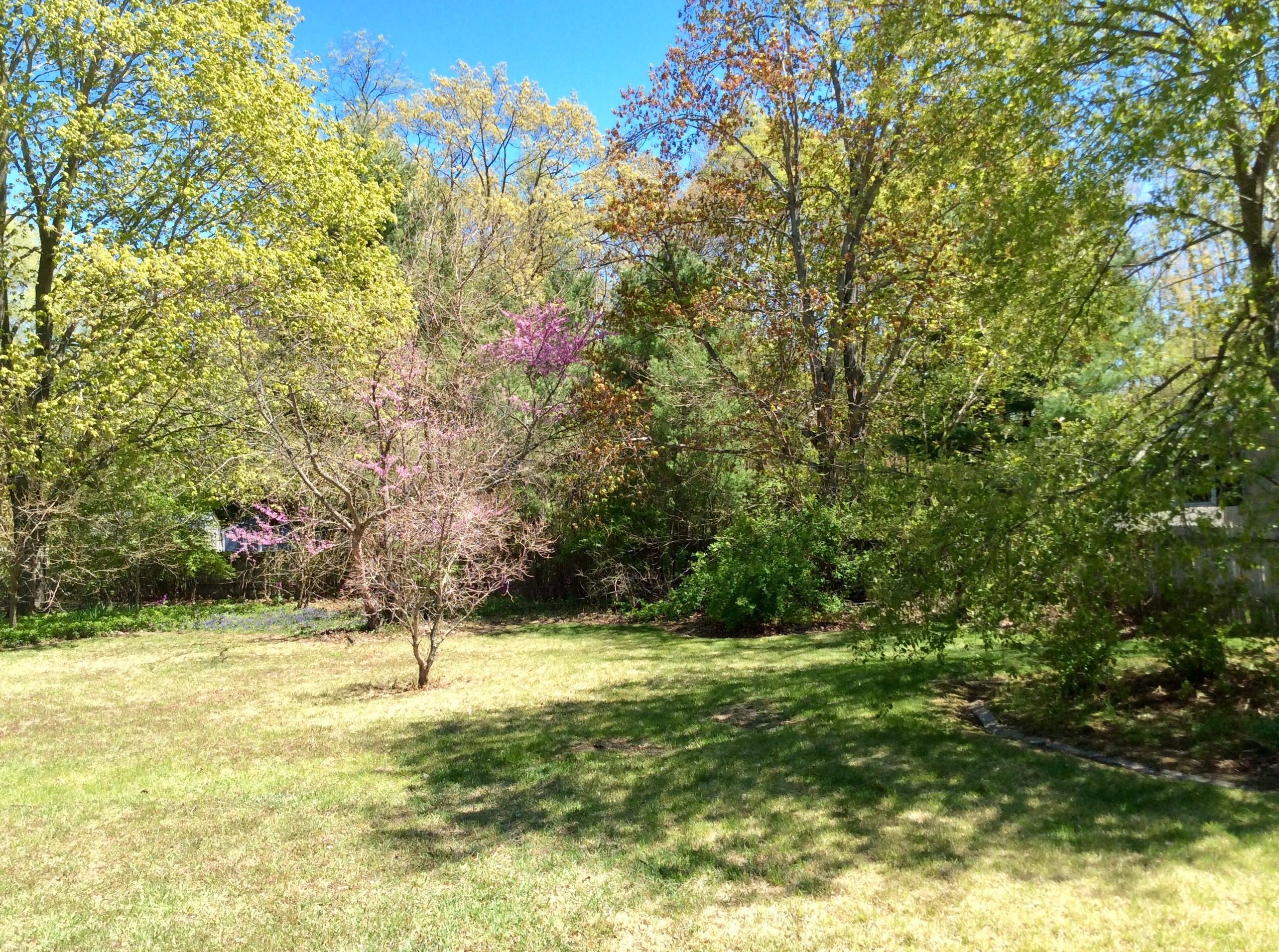 16257 Highland Dr, Spring Lake MI 49456-2307 exterior