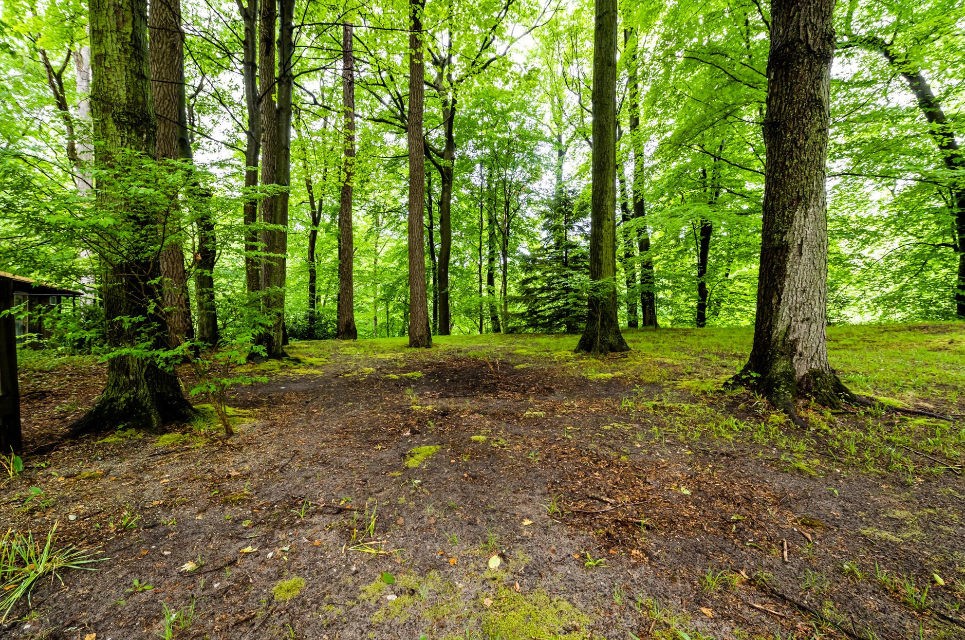 8030 Youngren Rd, Harbert, MI 49115