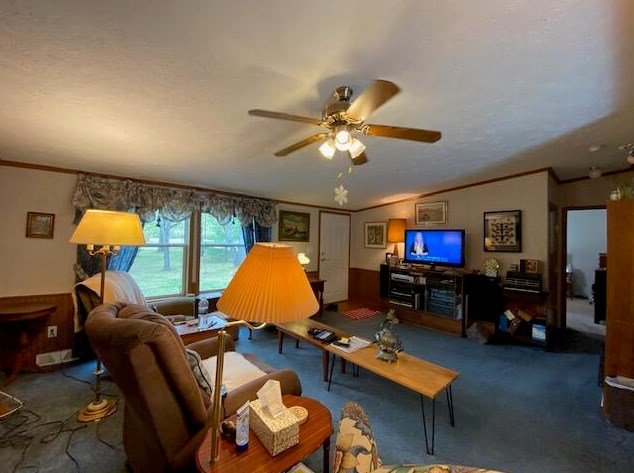 14344 Elk Run, Brethren, MI 49619