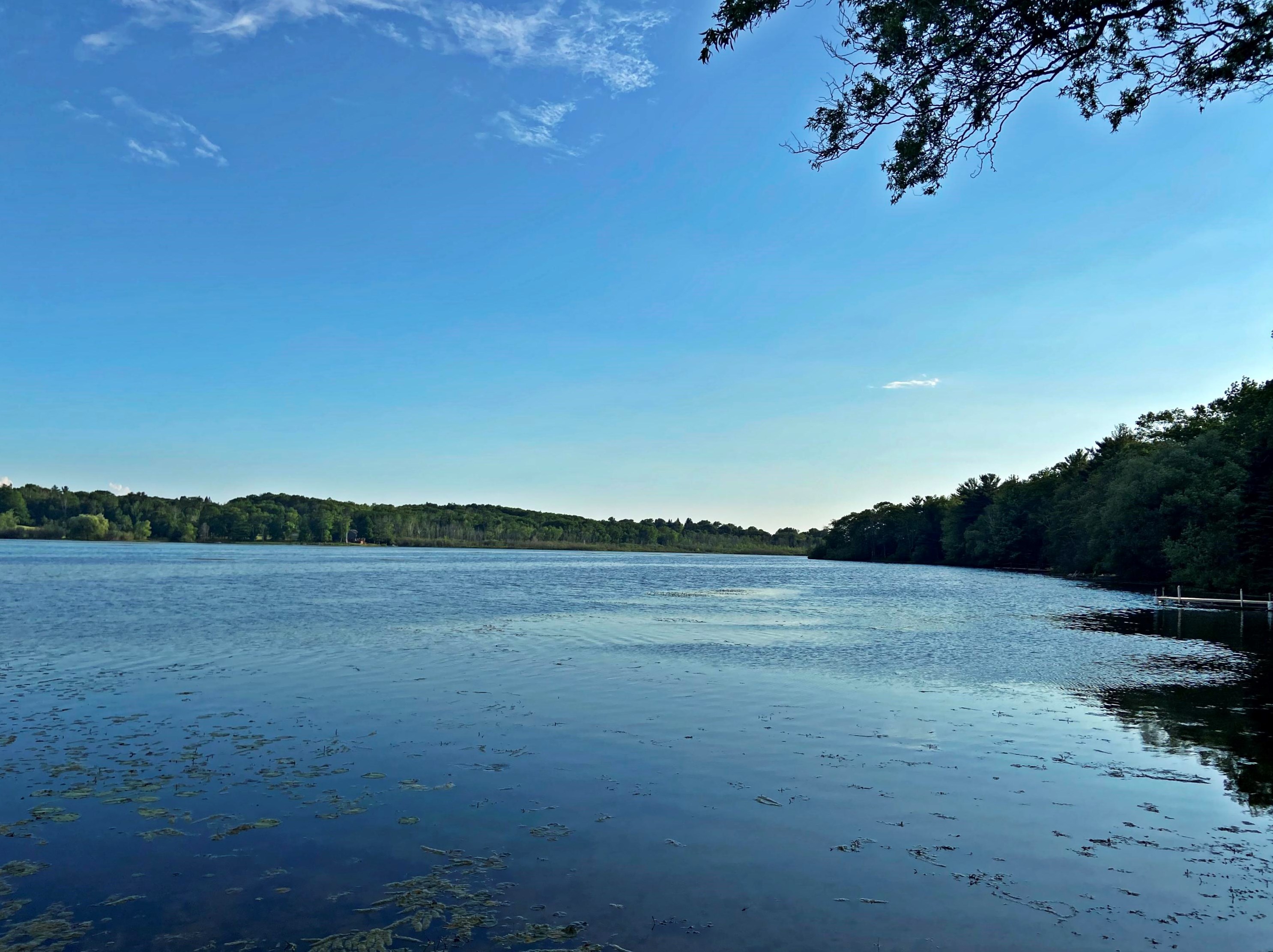 305 Mcnitt Rd, Stronach, MI 49660-9150