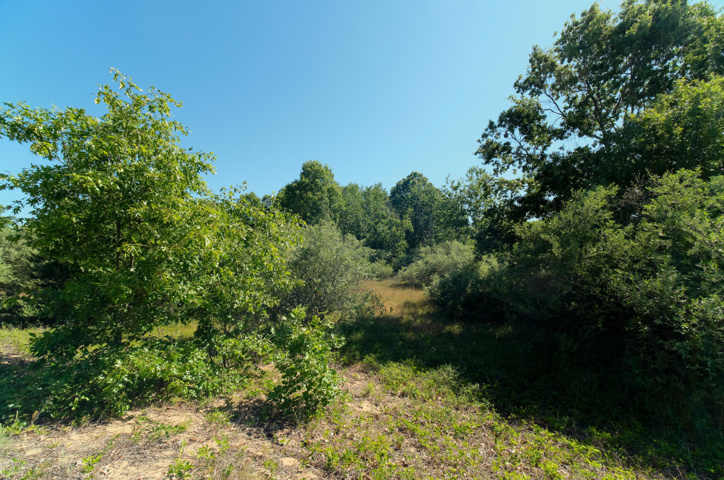 2606 County Line Rd, Stronach MI 49660-9197 exterior