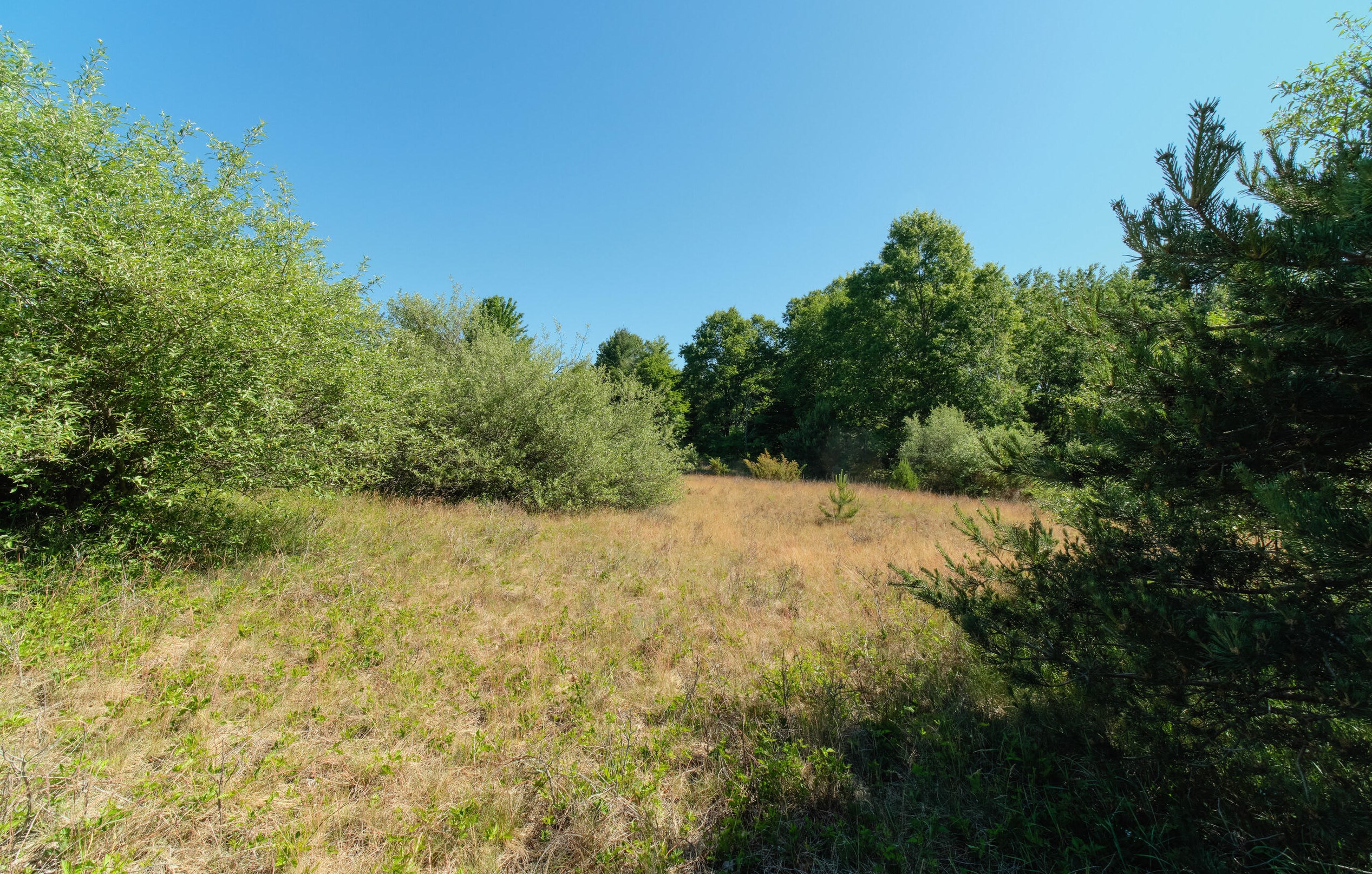 2606 County Line Rd, Stronach MI 49660-9197 exterior