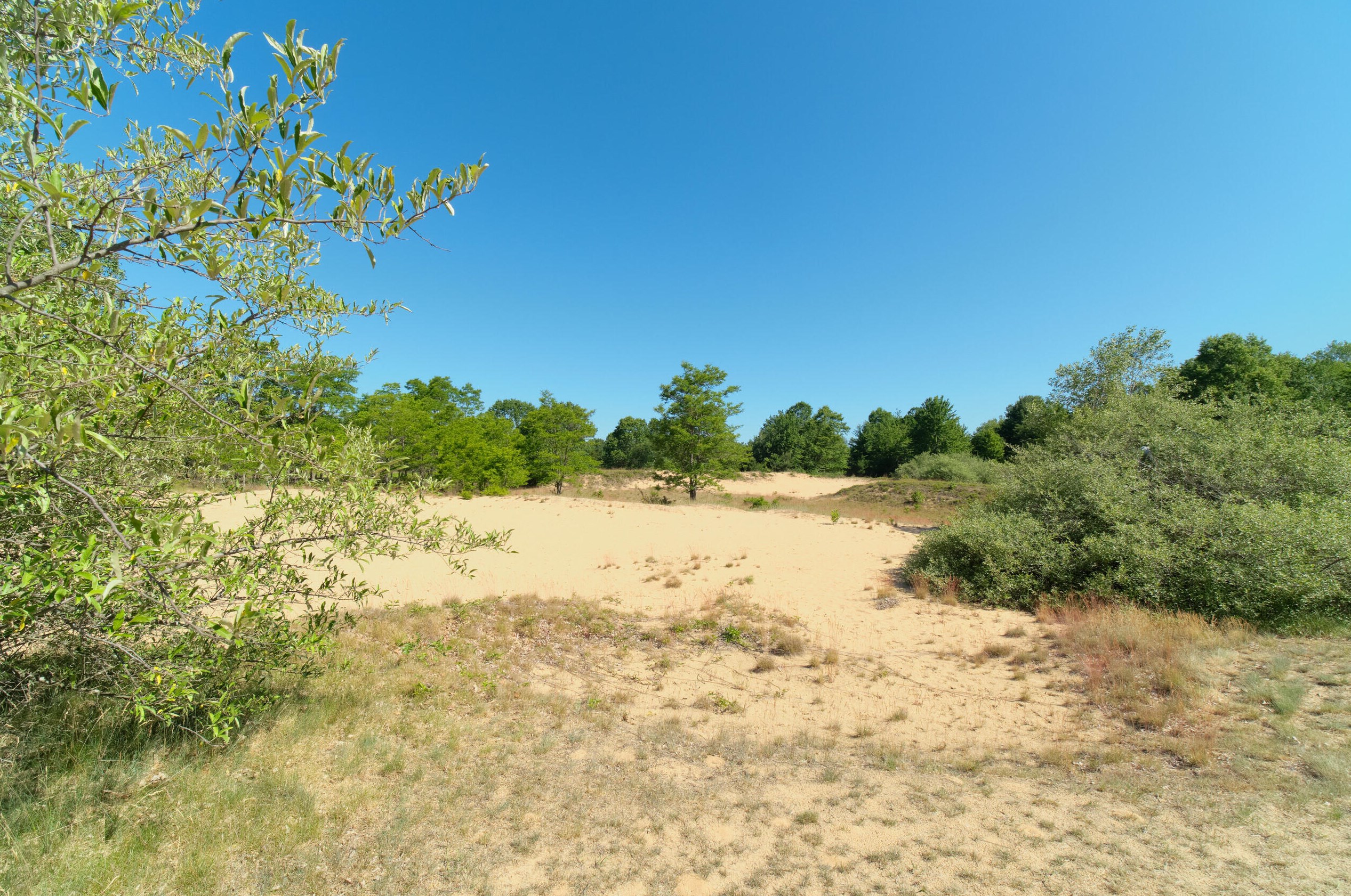 2606 County Line Rd, Stronach MI 49660-9197 exterior