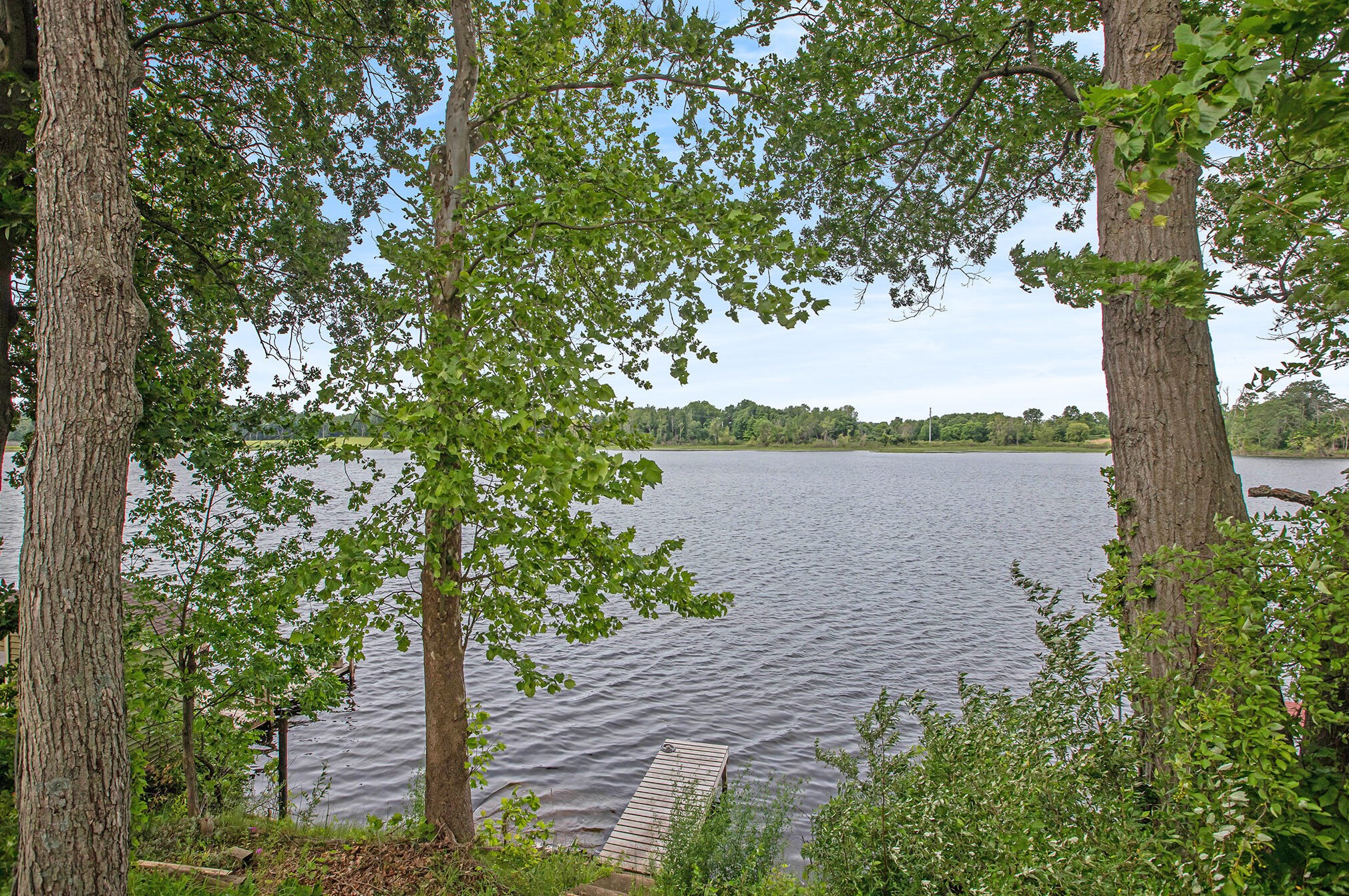 10847 Shelp Lake Dr, Delton, MI 49046-9447