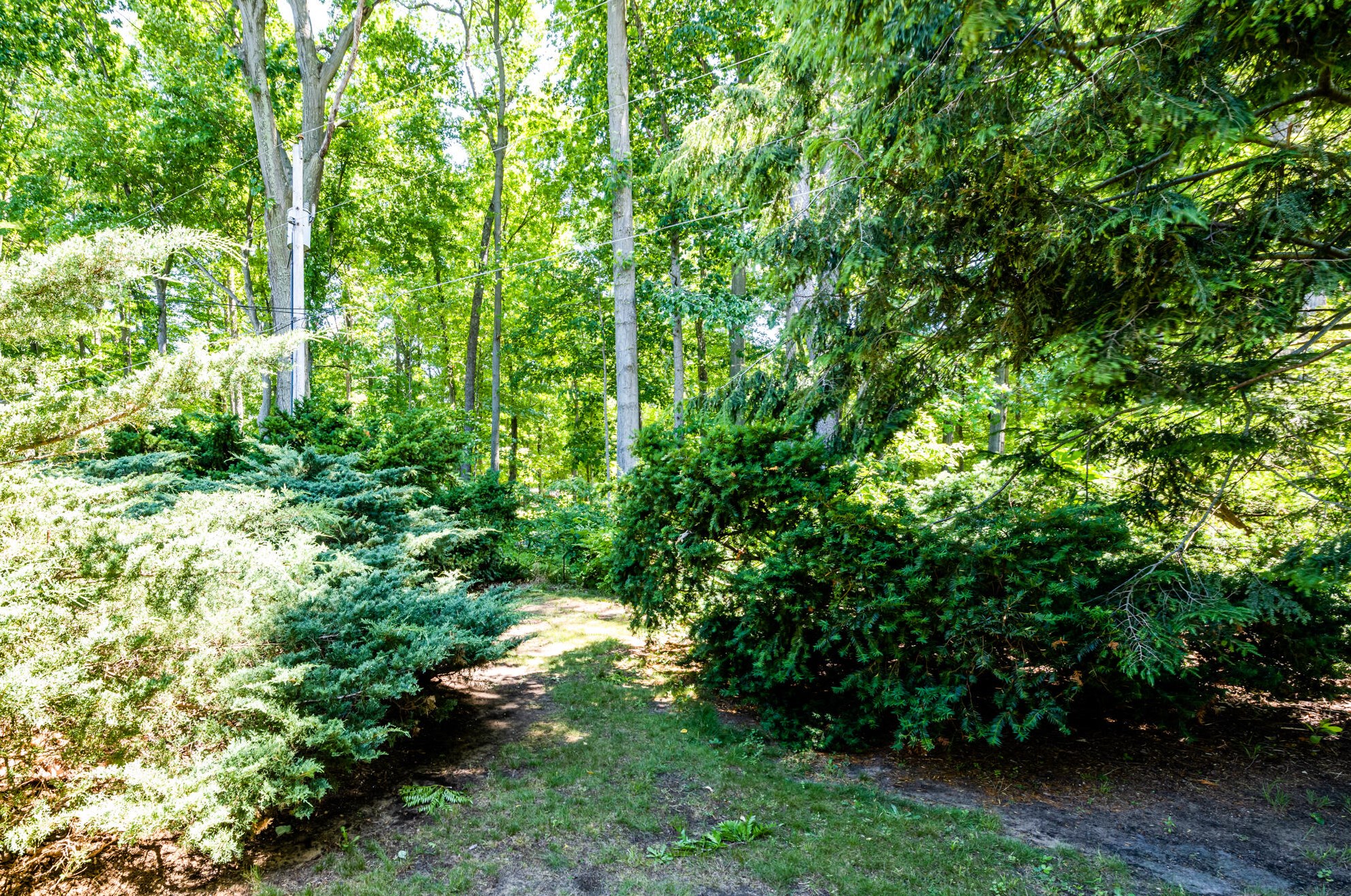 6679 Weatherford Dr, Coloma MI 49038-9573 exterior