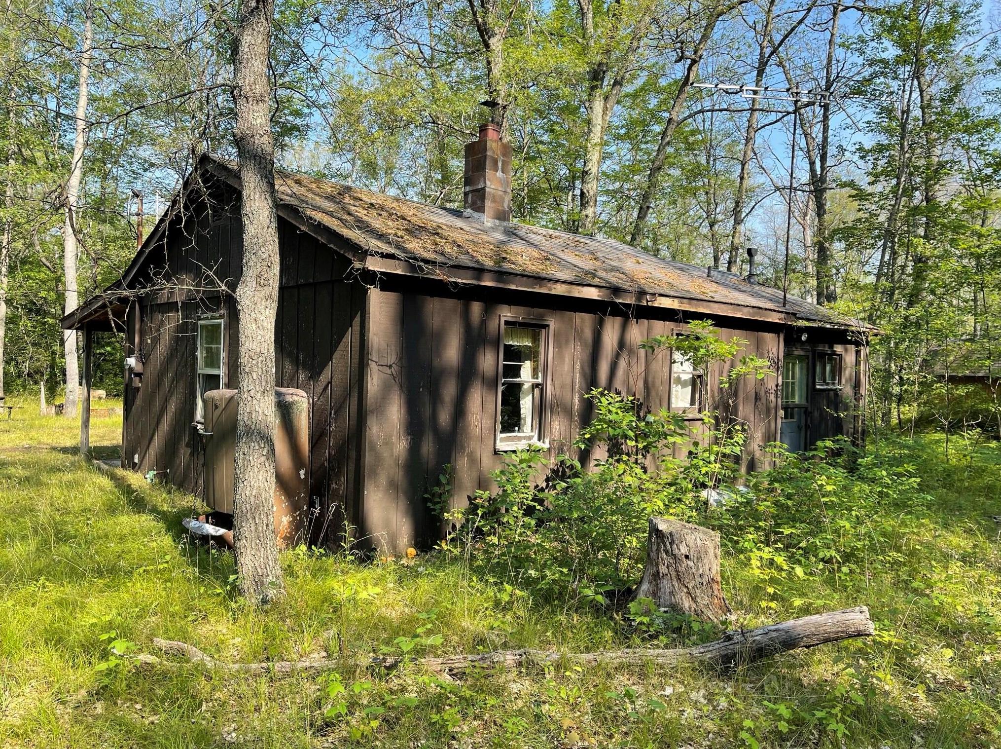 4497 James St, Wellston, MI 49689-9758