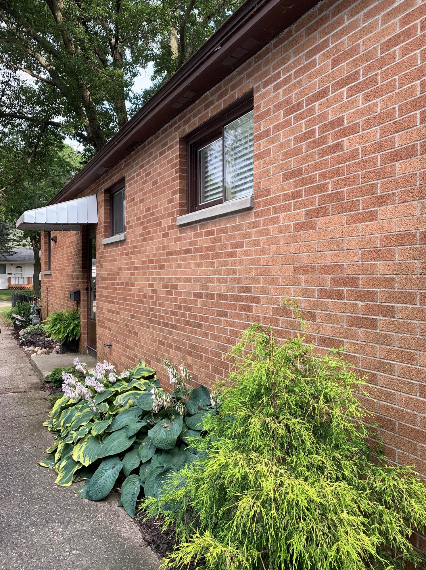 217 Williams St, Spring Lake, MI 49456-1912